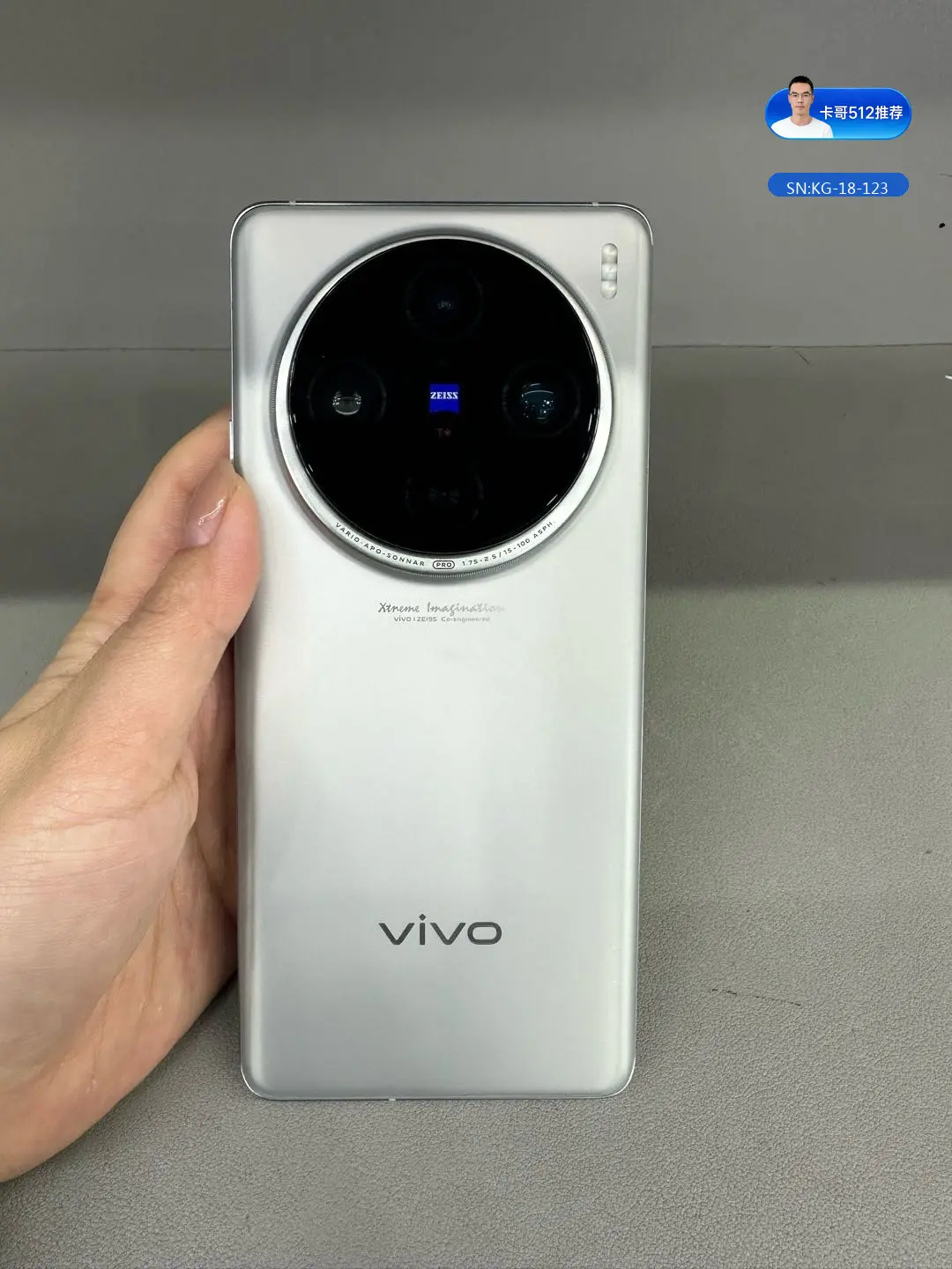 vivo vivo X100s Pro